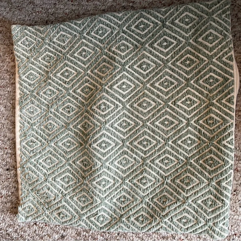 Pier 1 pier pillow